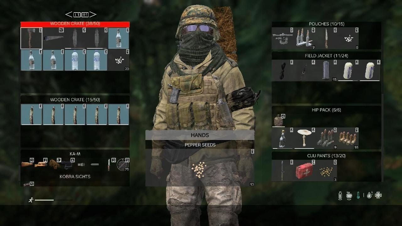 DayZ_20260313173424