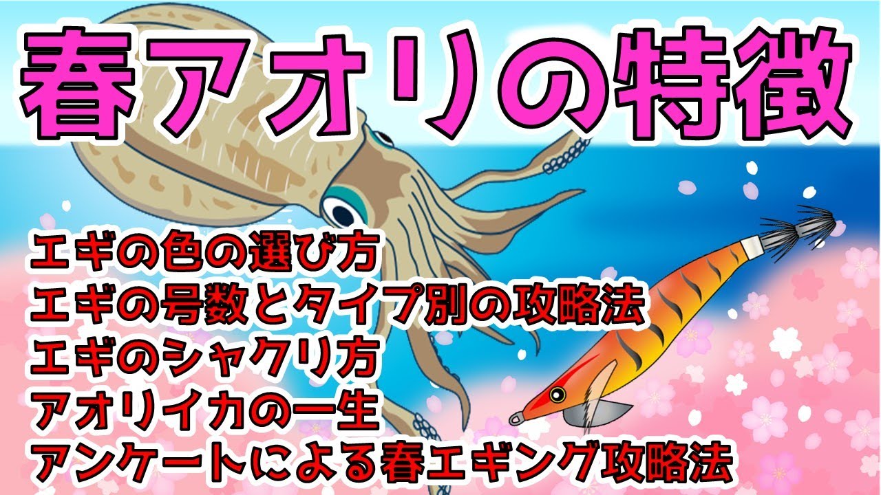 【春エギングのポイント】色の選び方/号数とタイプ/シャクリ方/アオリイカの一生/アンケート結果による春エギング攻略法