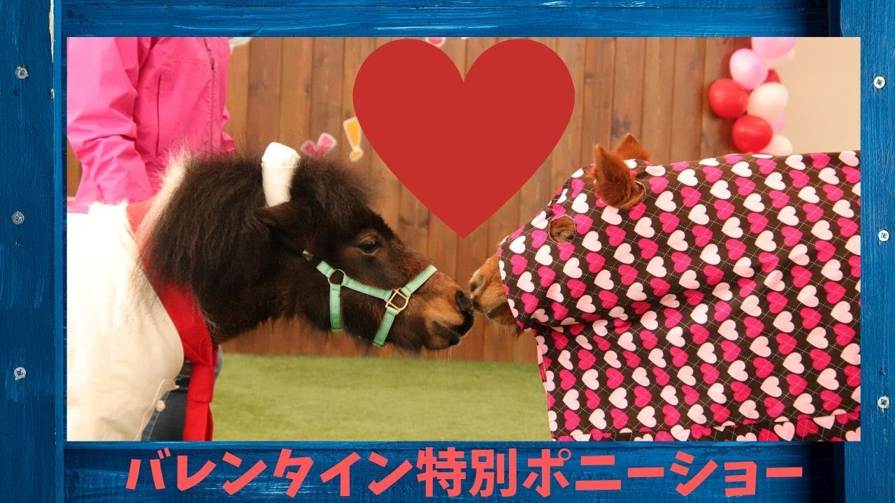 【バレンタイン特別ハッピーポニーショー2020】チョコくん、すーちゃん、サミー、ぴよちゃん