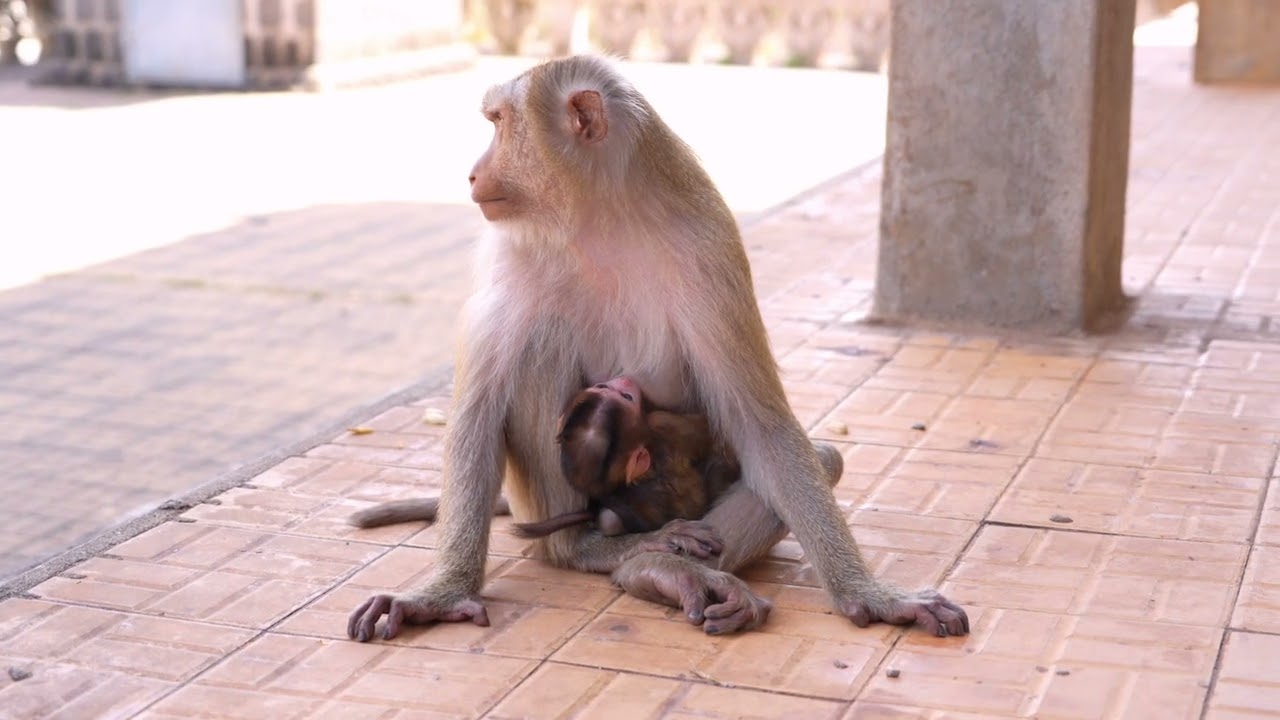 Mom is by my side and protects me.