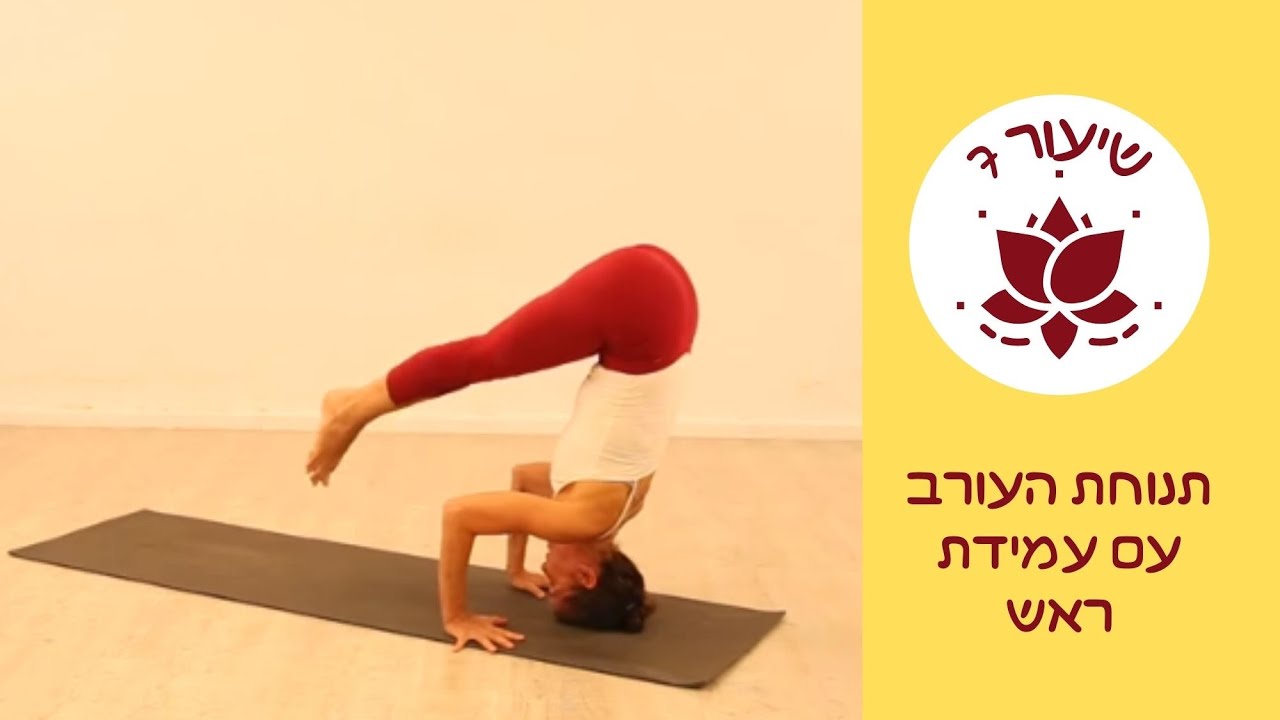 עורב מעמידת ראש | סדרה ראשונה אשטנגה יוגה  |  רויטל יוגה מיינדפולנס | יוגה תל אביב