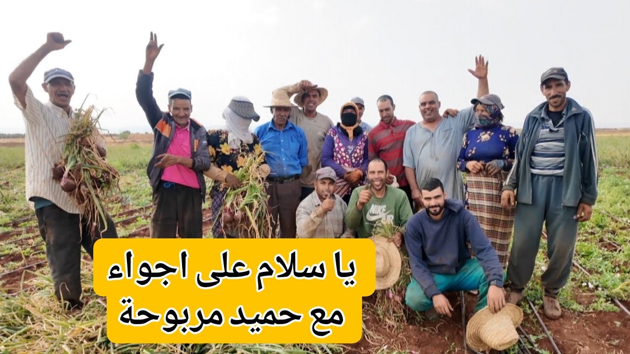 العيالات كيزغرتو و اغنيو بشلحة 🥳 يا سلام على اجواء الخدمة مع حميد مربوحة و طارق أخيرااا غيتهنا 🤲