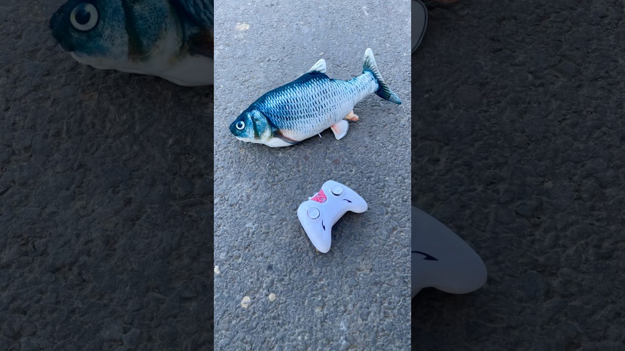 RC Fish Ekdam Original Jesa Fish 🐟 #shorts