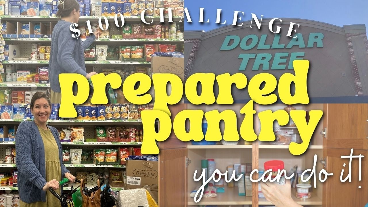 🤯 Запасайтесь готовыми продуктами по выгодной цене // Заготовка Dollar Tree менее чем за 100 долл...