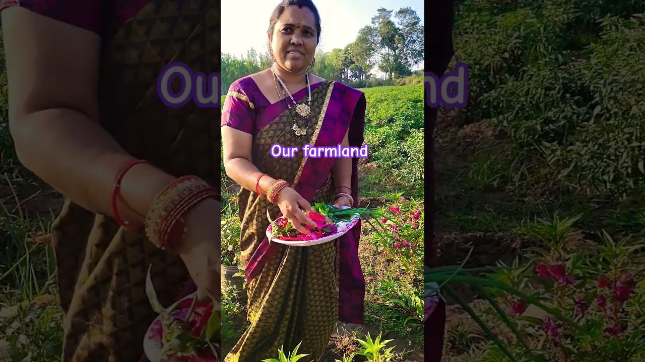 our farmland flowers 