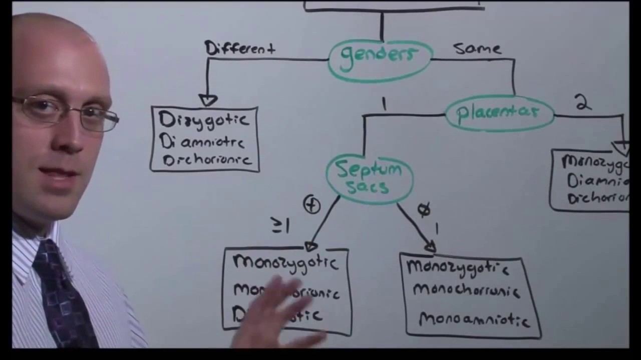 Obstetrics  Multiple Gestations  The Medical Education