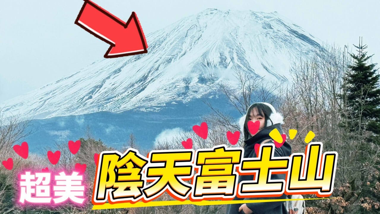 第一天的日本之旅就遇上下雨！目黑川櫻花大修剪、富士山被雲藏起來，還被天鵝咬手？｜東京｜白鳥濱｜潤井川龍巖淵