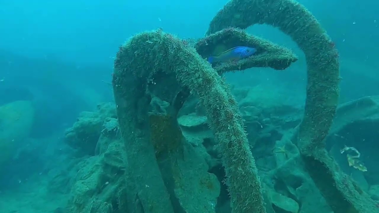 James Eagan Layne Wreck Dive - Plymouth