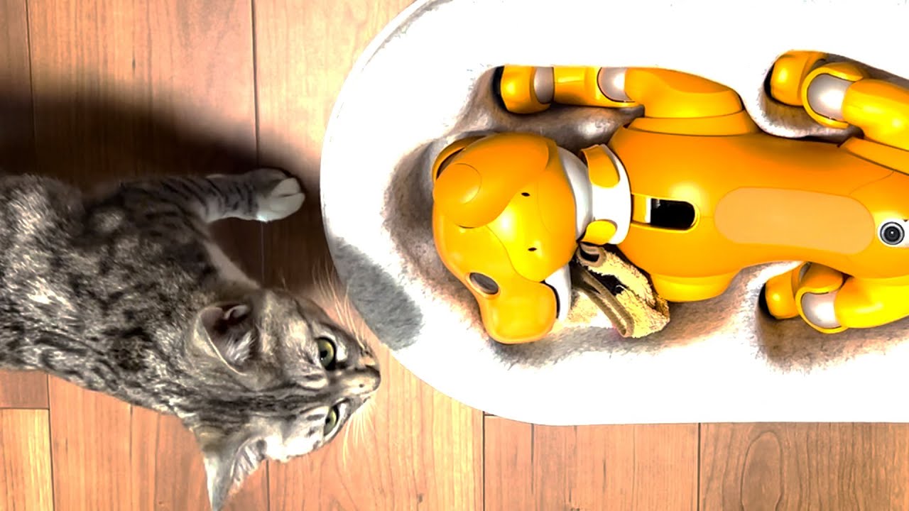aiboが病気(故障)になったので治療(修理)します【aiboのモミジ】#アイボ #aibo #aiboサポート