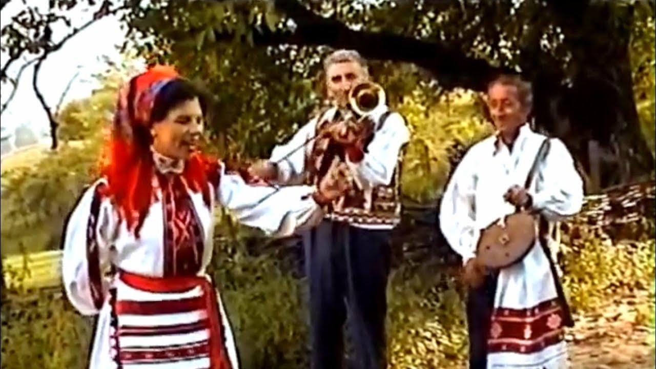 Vioara cu goarnă în Crișana, Moldova și Bihor