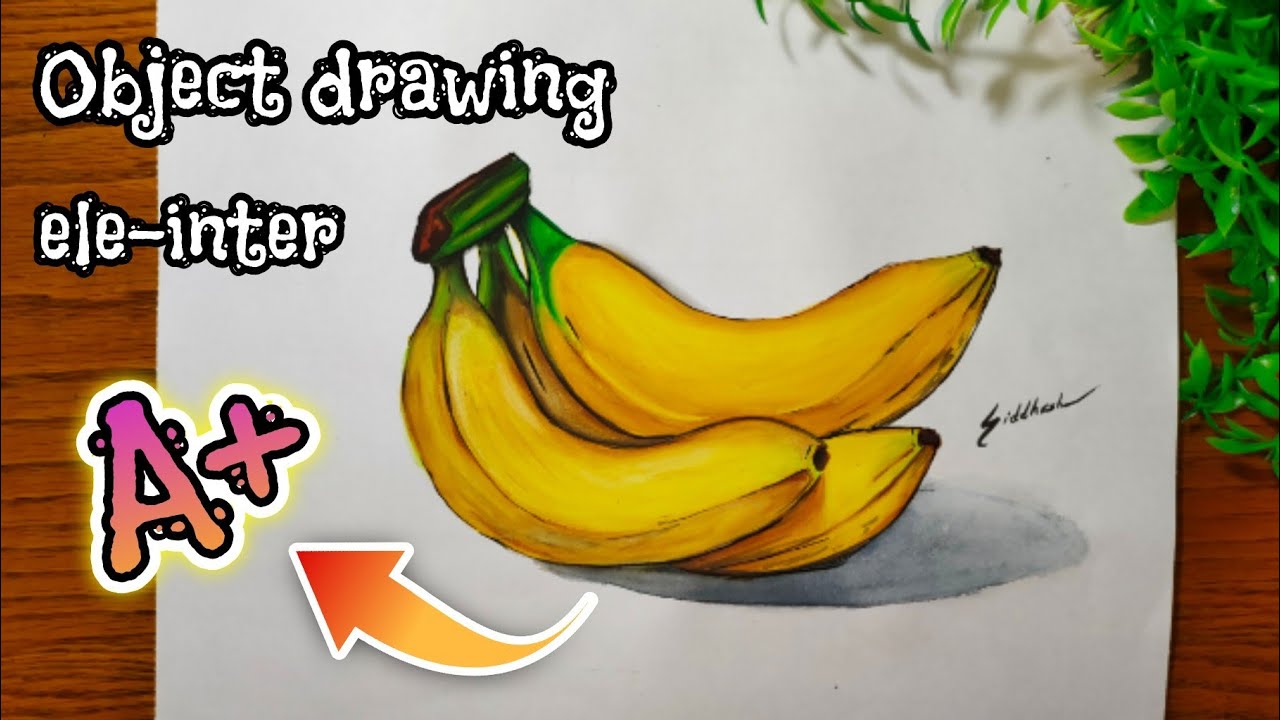 Draw a Realistic Bunch of Bananas Easy Step by Step / Elementry Intermediate Exam