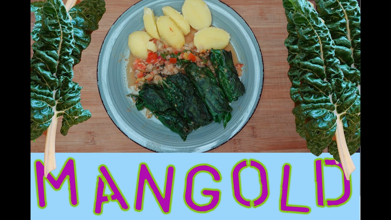 Mangold Röllchen in Tomaten - Gemüse Sauce