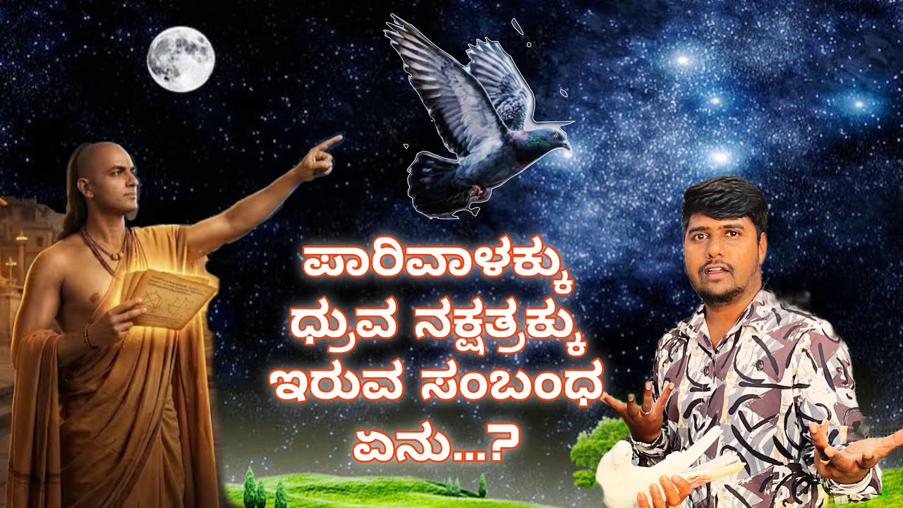 Vijipura Untold Story Subash Dv | Part 4 Valty sir  Makshi blood line | Tumbling pigeons