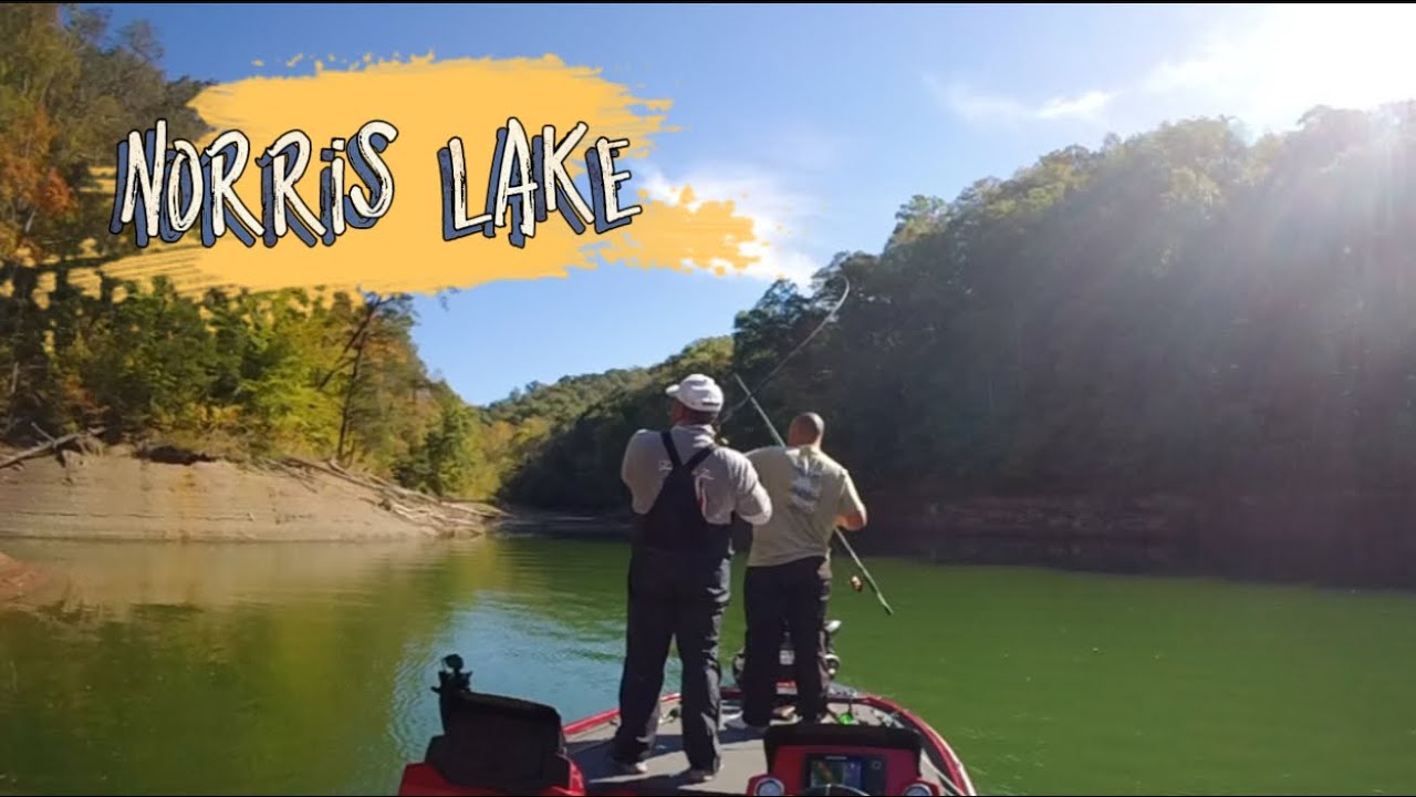 Norris Lake 10/11/25 CLINCH SIDE