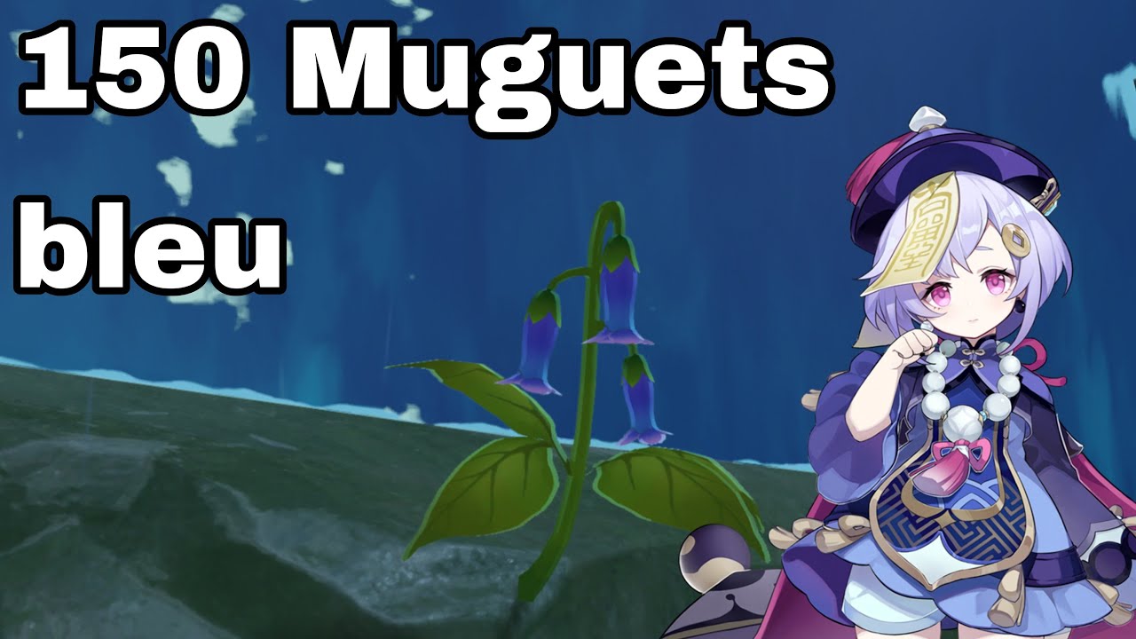 150 MUGUETS BLEUS Guide Genshin Impact FR