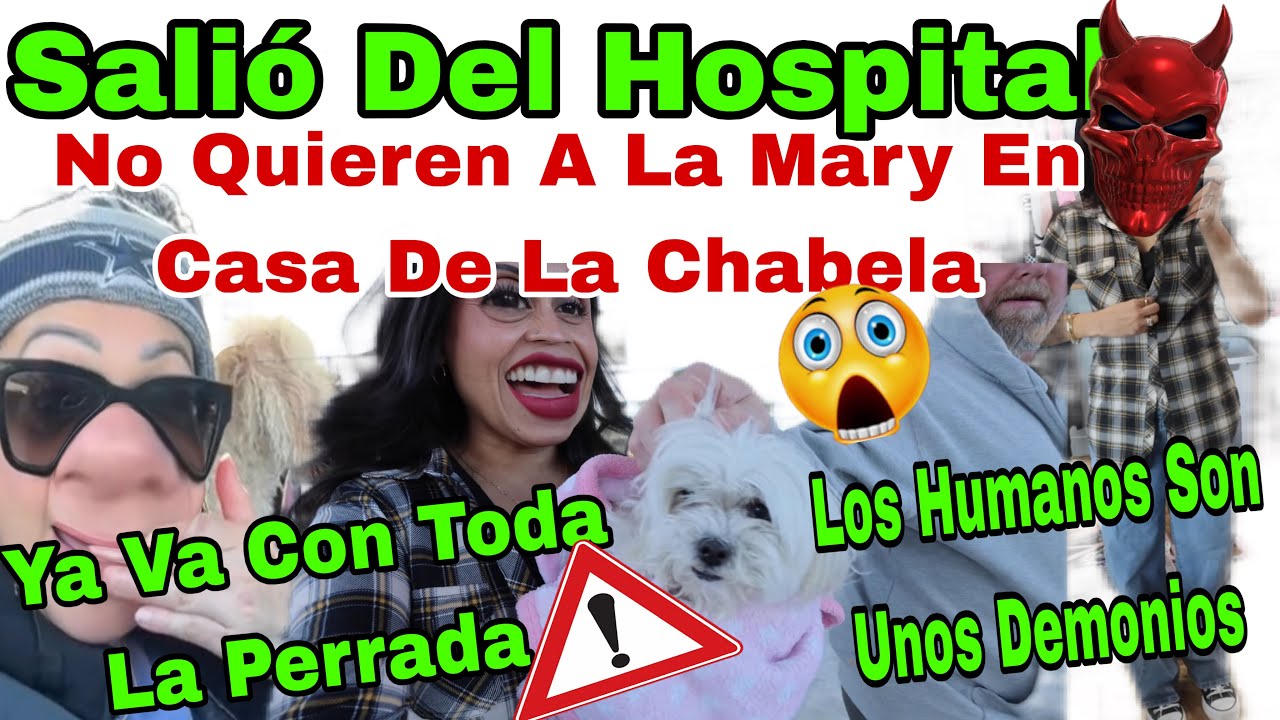 Los Humanos Somos Unos Demonios 👩‍🦲👹Salió Del Hospital🐶🏥 No Quieren A La Mary En Su Casa 🏠😱Ya Va 