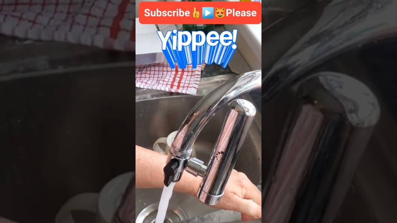 Stray Cat Water filter tap, Geyser Euro quick and easy to fit, How to fit a water filter tap #rescue