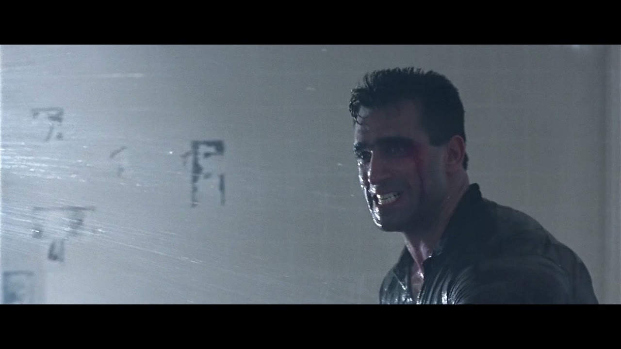 Trailer from True Lies