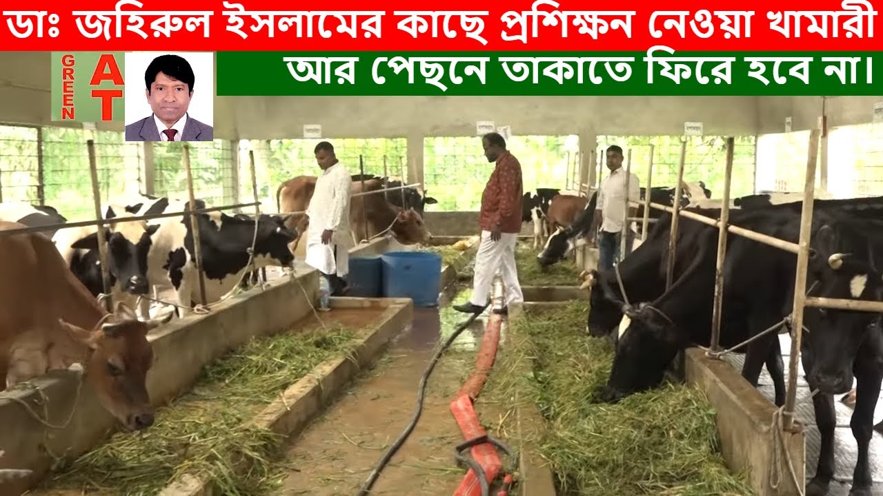 মালয়েশিয়ান প্রবাসী আনোয়ারের গরুর খামার ও বায়োগ্যাস প্লান্ট | Bayezid Moral