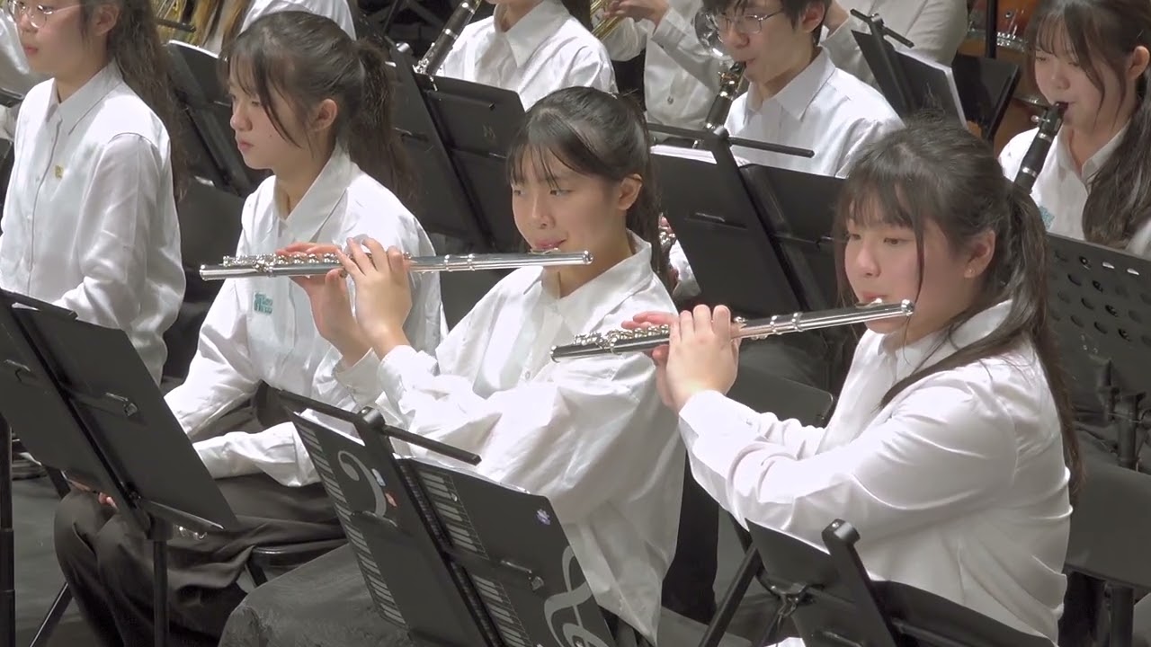 多巴胺藝術行銷 skyline管弦樂團 皇帝圓舞曲