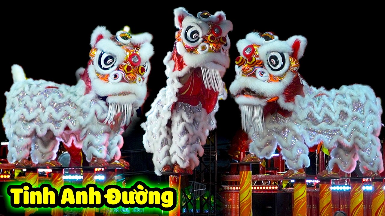Múa Lân nhảy Mai Hoa Thung Hay Nhất 2026 LSR Tinh Anh Đường biểu diễn Chùa Ông Chợ Lớn