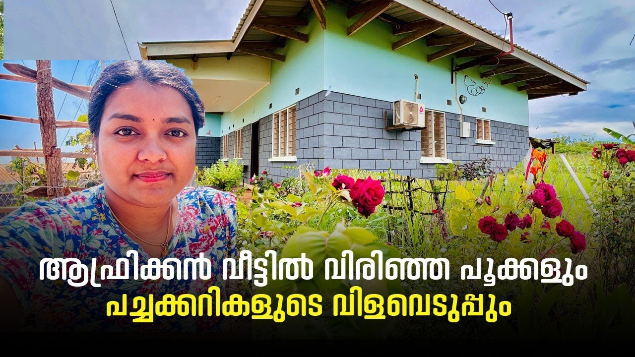 ആഫ്രിക്കൻ വീട്ടിൽ വിരിഞ്ഞ പൂക്കളും പച്ചക്കറികളുടെ വിളവെടുപ്പും#lifeofarunsumi #africa 