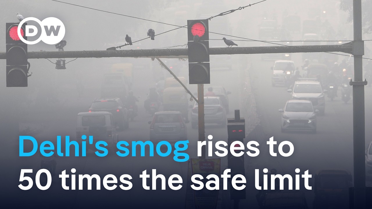 Why Delhi can't get its toxic smog under control | DW News