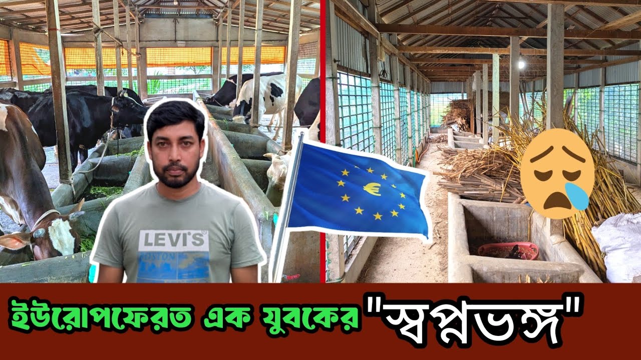 ইউরোপ থেকে ফিরে খামার গড়লেন, এখন কেন ছেড়ে দিচ্ছেন ? । Dairy Farming । Swadesh Agro ।