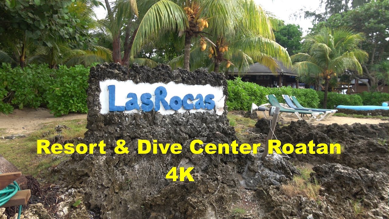 Las Rocas Resort & Dive Center Roatan , Honduras : A Hotel Review