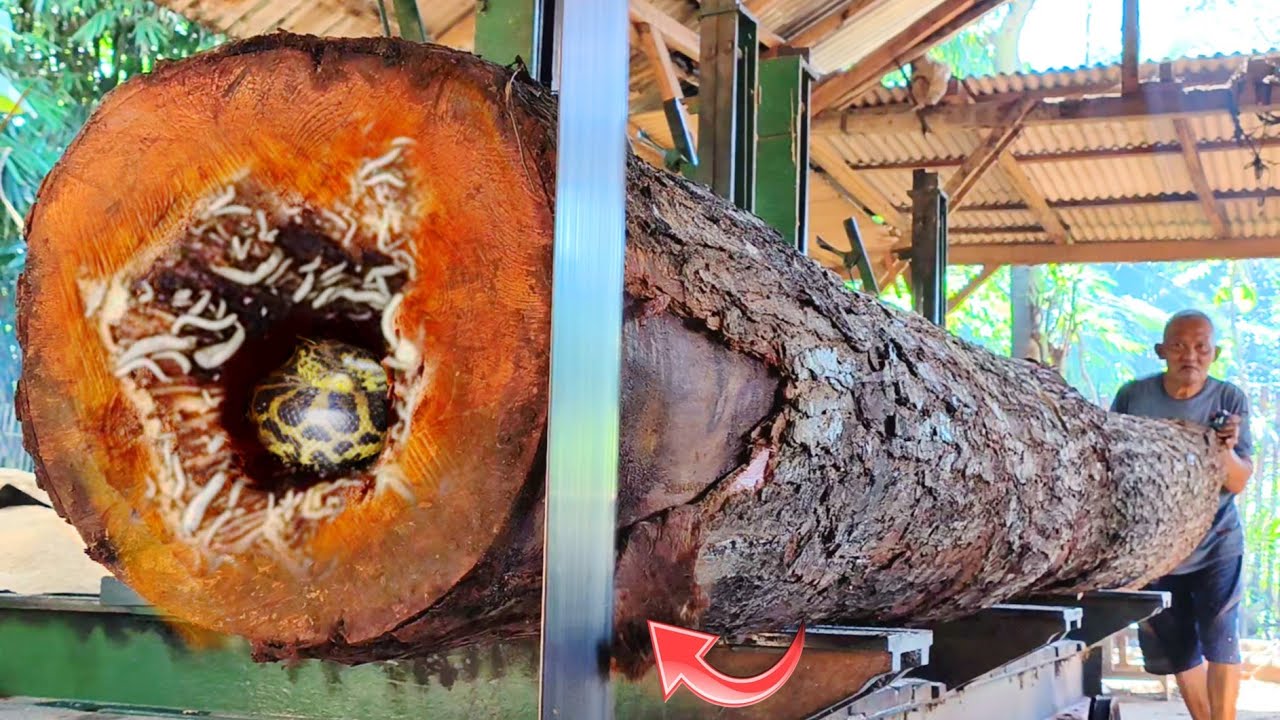 80 feet and big || Sawing wood to make boat planks inside the sawmill || Woodworking