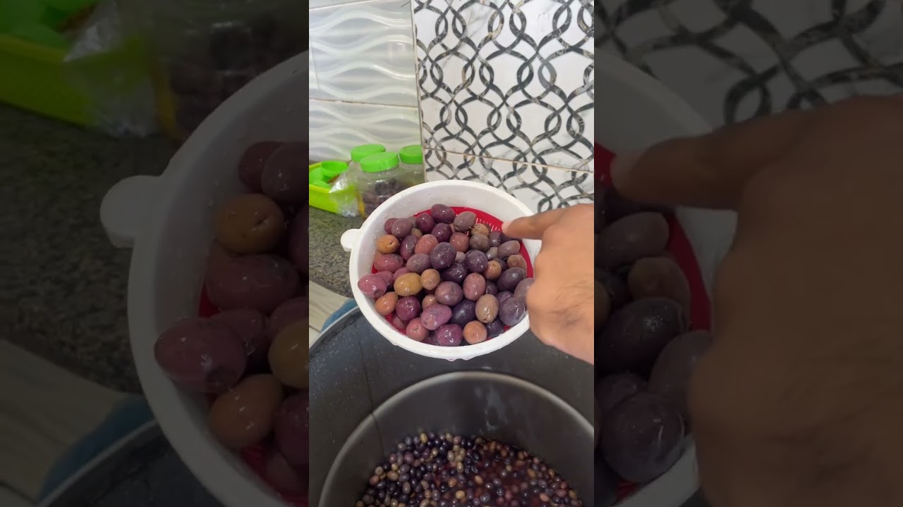 أجمد معصرة زيت زيتون في مطروح .. منتجاتها عجيبة وأسعارها عجيبة واسمها عجيبة