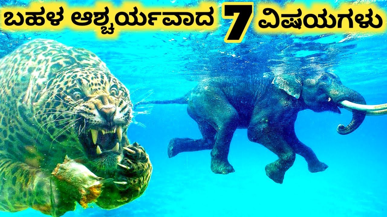ಆಕರ್ಷಕವಾದ ವಿಷಯಗಳು || Seven Most Amazing Facts Part 2 || Kannada Factoids