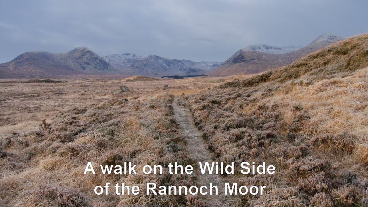 A walk on the Rannoch Moor