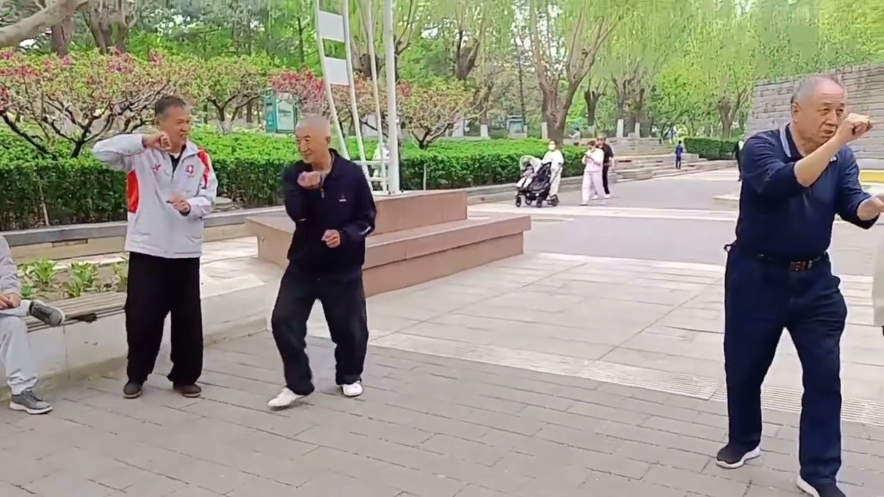 Xing Yi Quan meeting 2