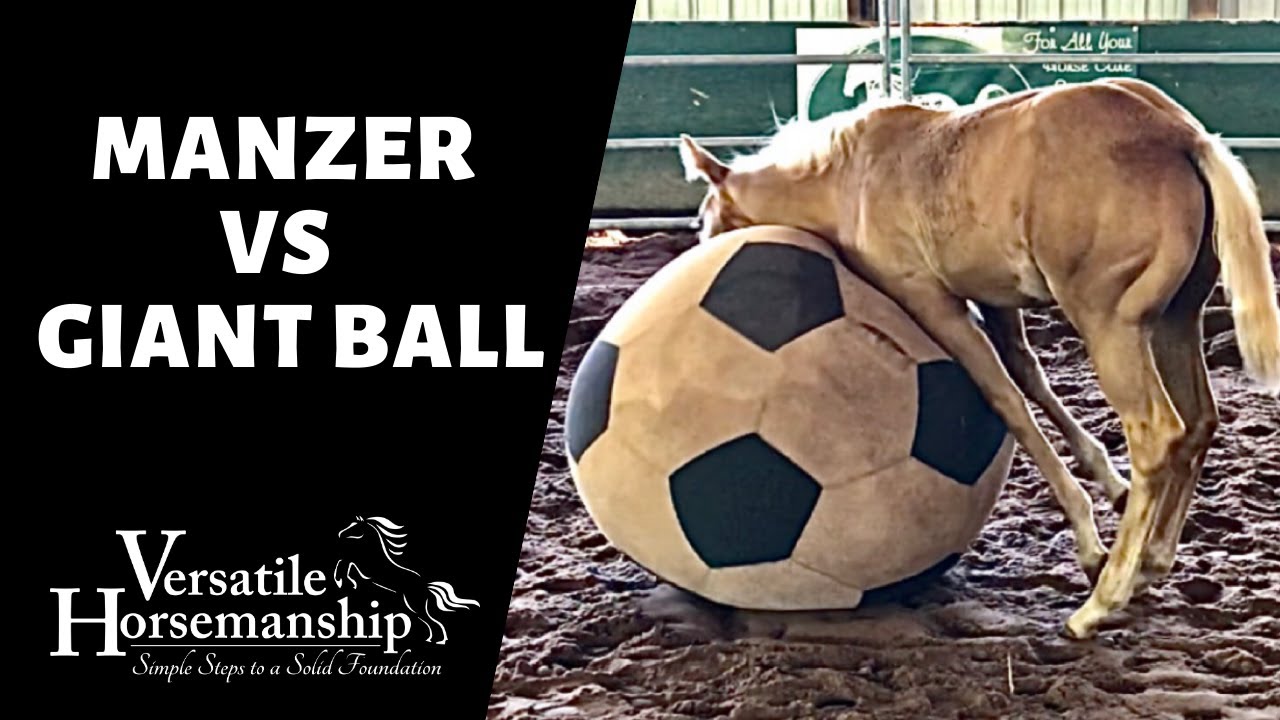 MANZER VS GIANT BALL // Versatile Horsemanship