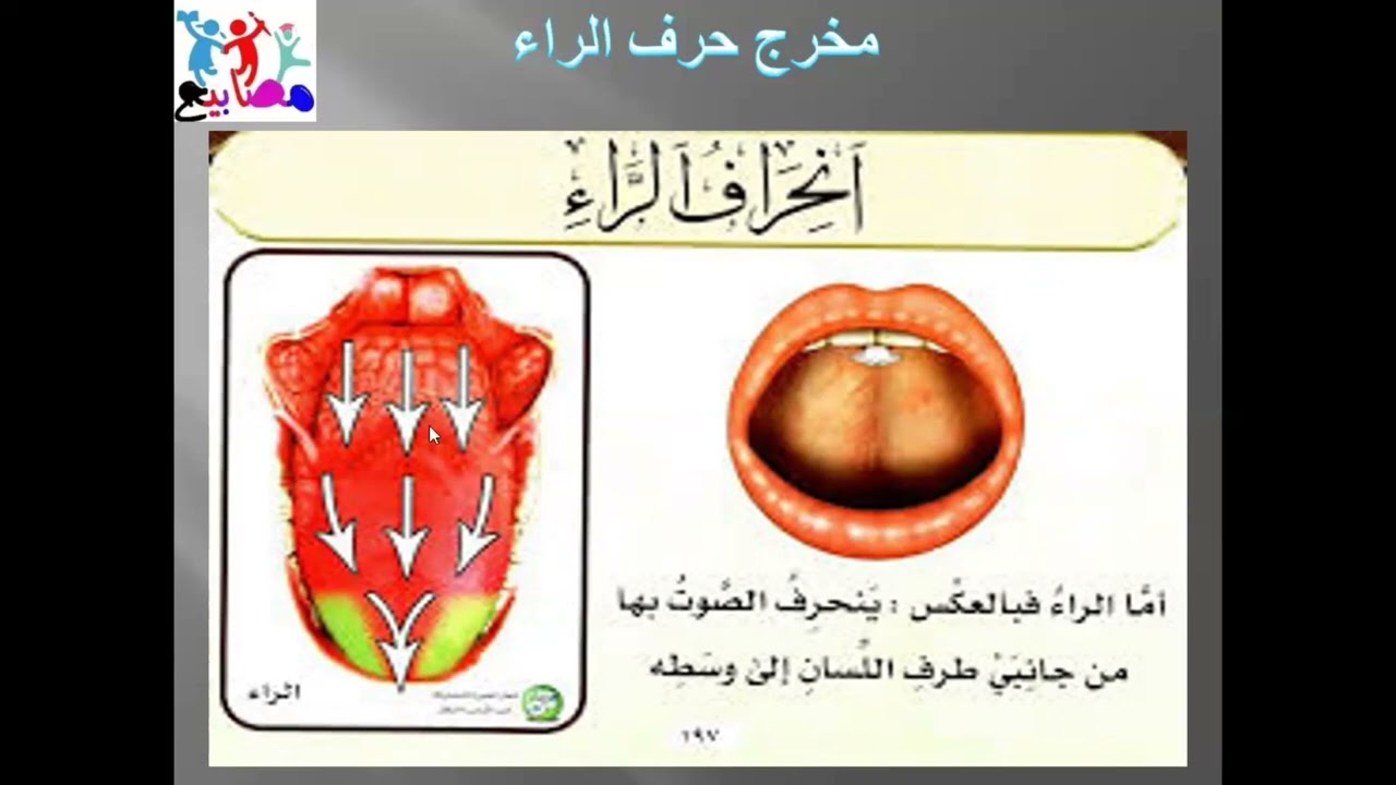 مخارج الحروف مخرج حرف الراء 