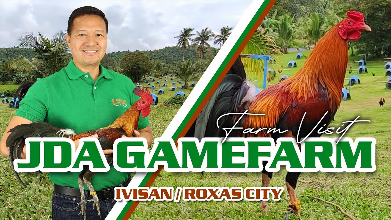 Farm Visit @ JDA Gamefarm of Jawo Agdalipe
