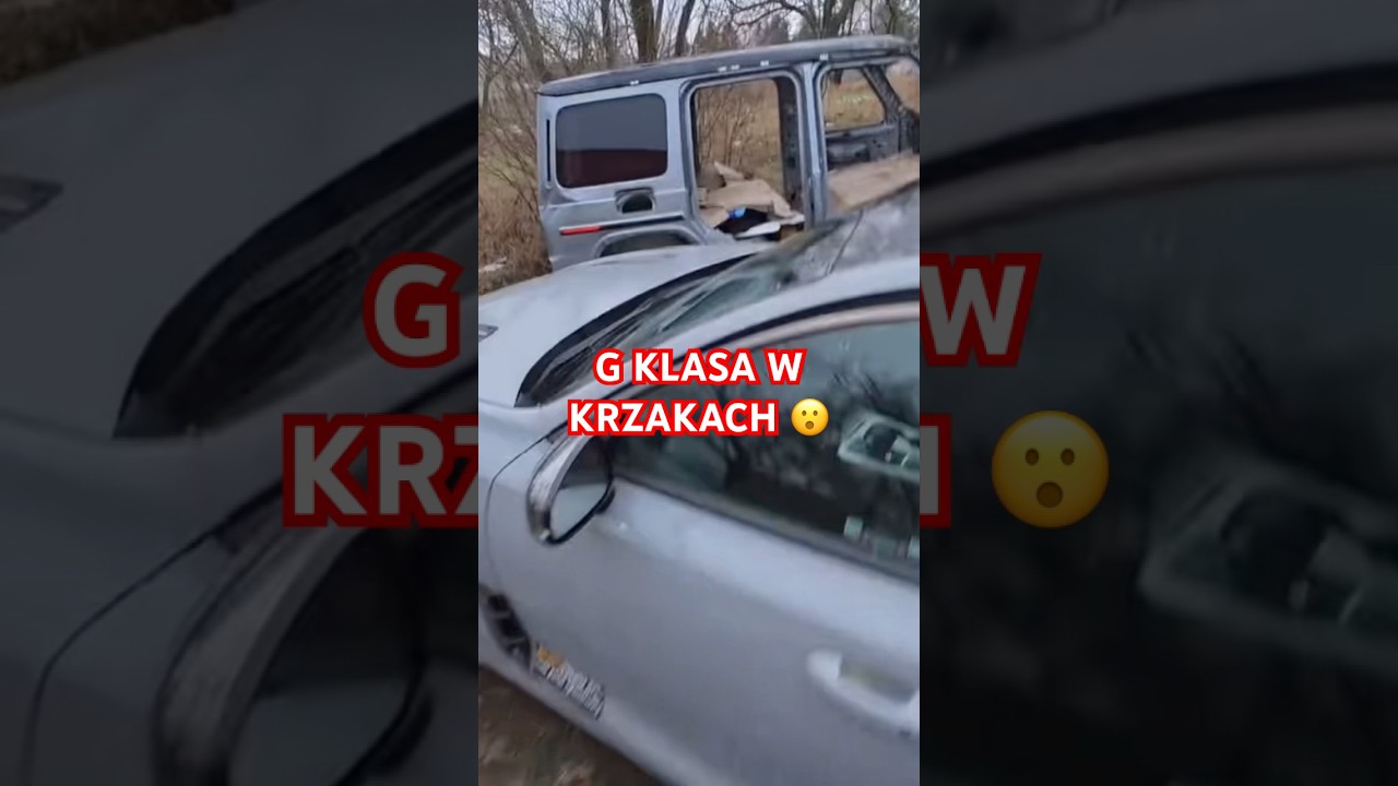 G KLASA W POKRZYWACH 😮😮😮 #graoplon #shorst #funnymoments #gklasse