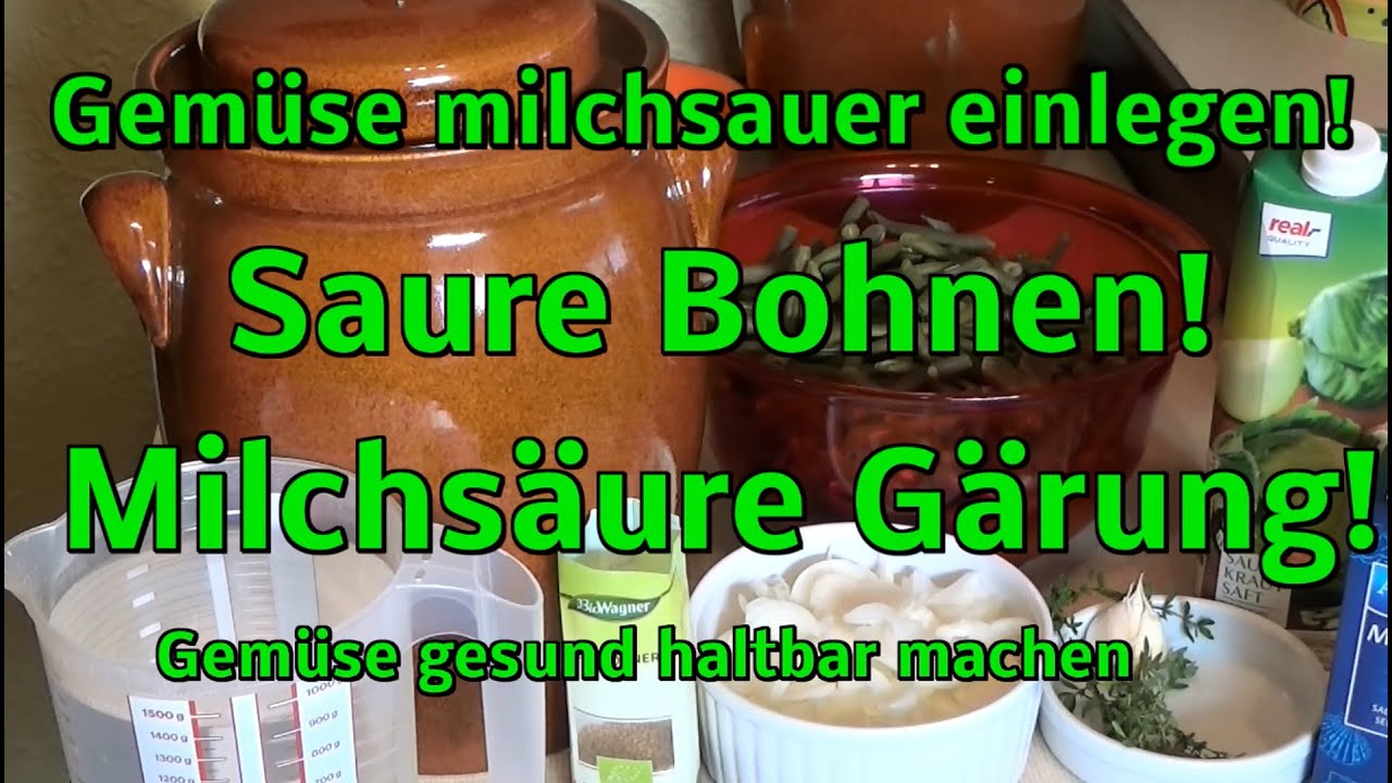 Gemüse milchsauer einlegen, gesund haltbar! Saure Bohnen!!!