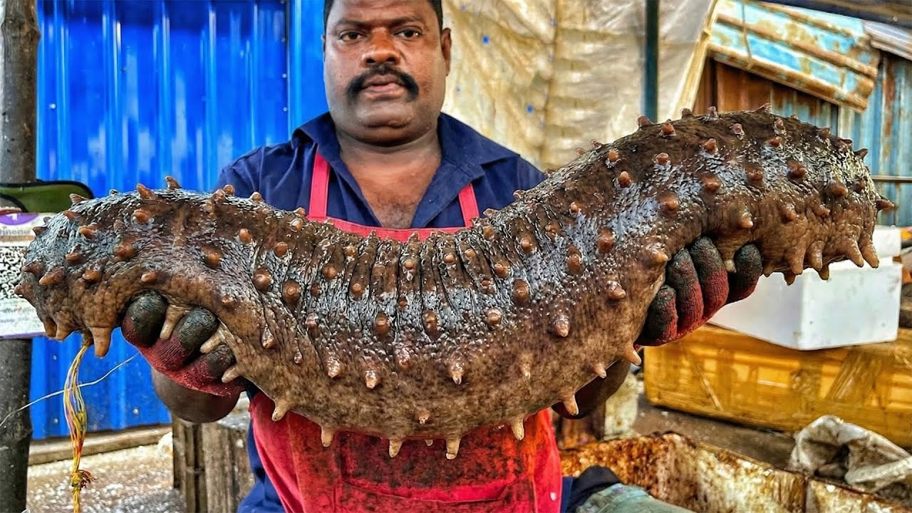 Never Seen Before! Giant Size Fish Cutting at Hidden Paradise Seaside Market Masterclass