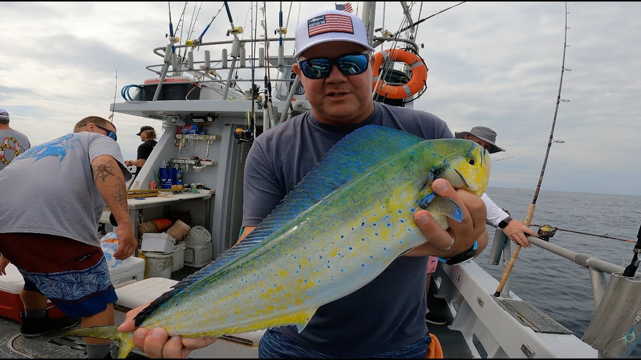 Hundreds of Sea Bass & a Nice Mahi! Morning Star Fishing charter- Sigma Pi Fraternity Brother Trip