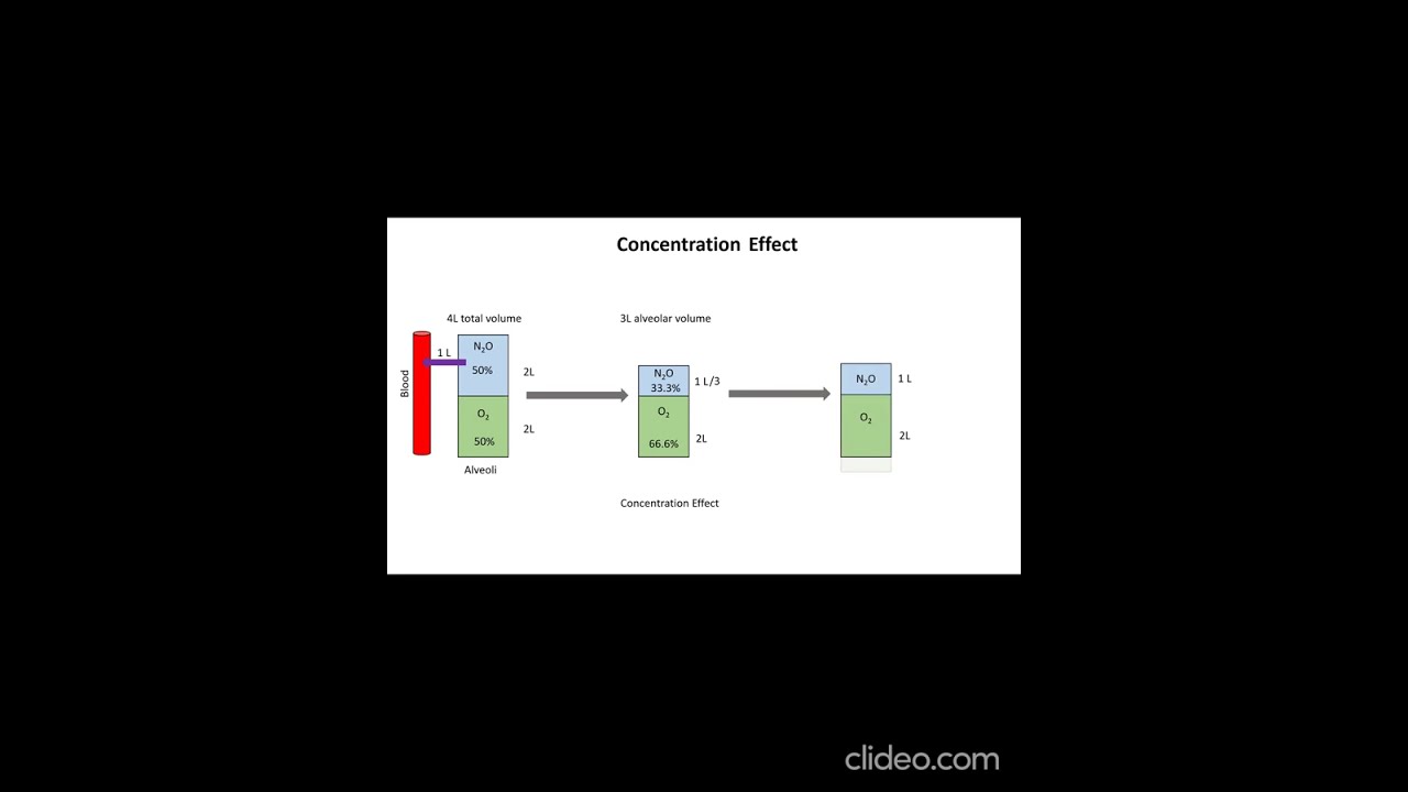 Concentration and second gas effect (Nitrous oxide)
