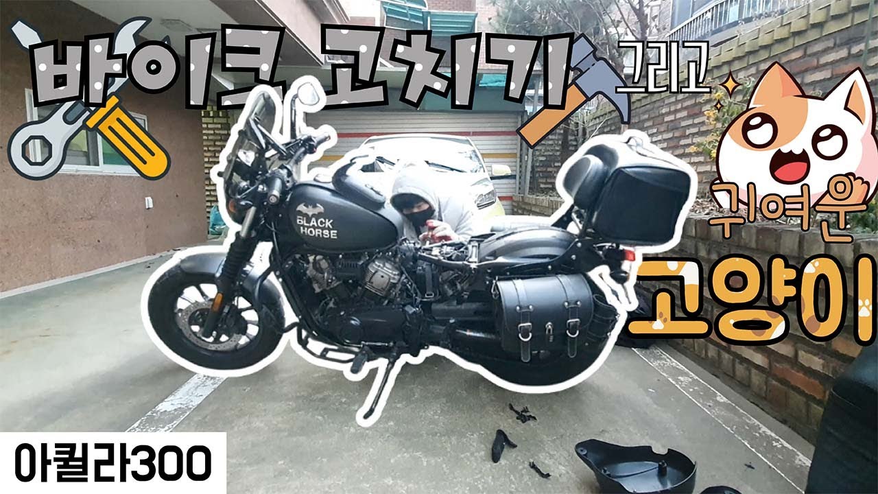 바이크 고치기 그리고 귀여운 고양이 / 오토바이 바이크 아퀼라300s Aquila300s GV300s