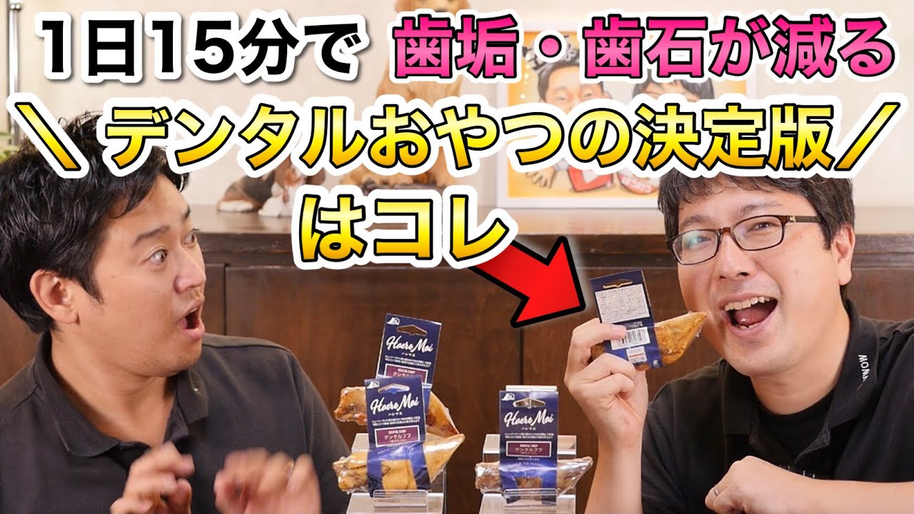 愛犬の歯垢・歯石ケアに！ペットショップ店長が超お勧めする【最強のデンタルおやつ】デンタルフフをご紹介！