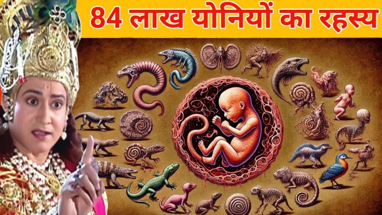 84 लाख योनियों का रहस्य।। कब मिलता है मनुष्य योनी ।। According to padam puran