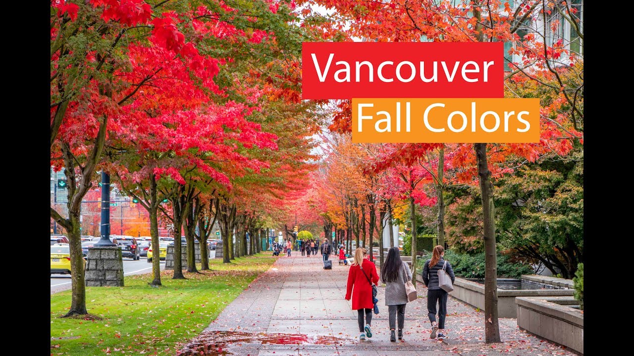 Vancouver Canada Falls Autumn Colors | Fall Foliage