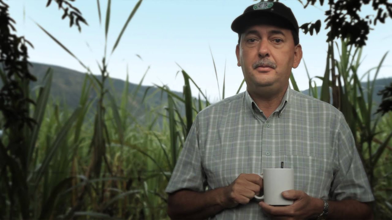 Kim jest agronom?
