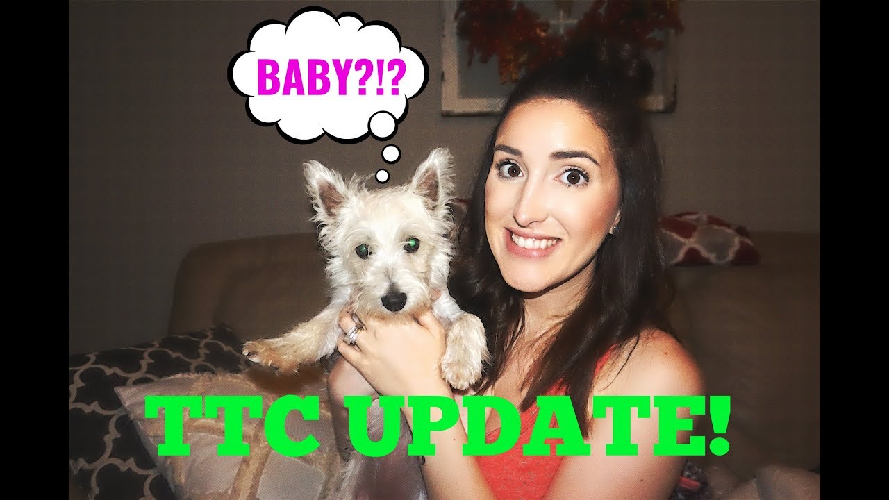 HOW MUCH DOES AN IUI COST? | TTC UPDATE