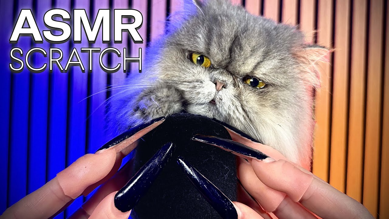 ASMR Witch Nails | Intense Nail Scratching on Foam Mic Cover for Deep Tingles (With My Cat)