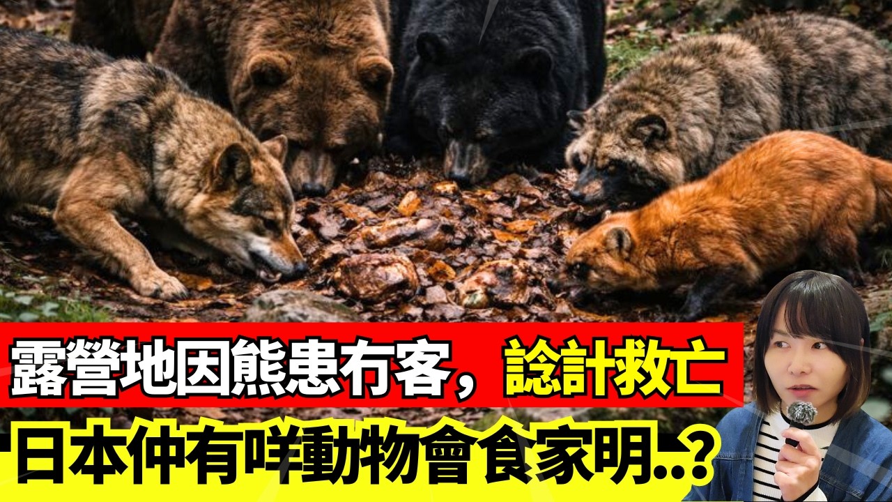 【日本熊出沒注意🚨】山林發現男子唔見咗部分○臟！懷疑被動物..| 露營勝地話如果有熊出沒會賠償兩倍住宿費 | 溫泉旅館熊出沒 l 日本新聞報導 #熊出沒 #廣東話 #日本新聞 #突發 #廣東話 #柴犬
